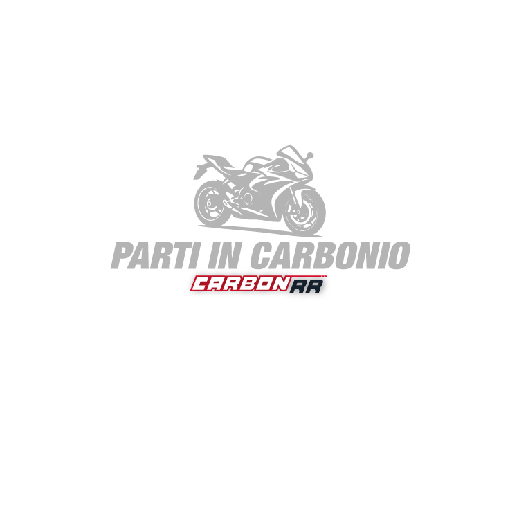 Categorie parti in carbonio della CarbonRR