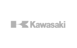 Brand-Kawasaki-Carboniorr
