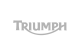 Brand-Triumph-carbonio